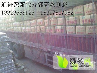 荷蘭十五克新系列土豆 貨源充足，專業代購代銷服務